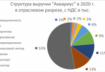 «Аквариус» удвоил выручку благодаря госконтрактам