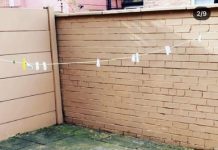 Домохозяйка превратила унылый двор в уютный садик почти бесплатно благодаря соцсетям