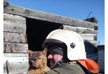 Спасенный из пожара суровый кот восхитил россиян