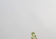 Красочный мир покупки цветной косметики