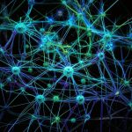 Нейромаркетинг: rак понять и удовлетворить потребности потребителей на уровне мозга