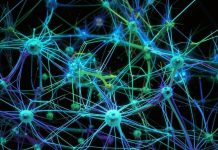 Нейромаркетинг: rак понять и удовлетворить потребности потребителей на уровне мозга