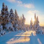 Как сделать детский отдых на зимних каникулах незабываемым?