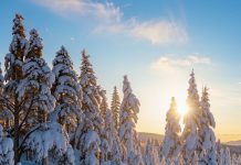 Как сделать детский отдых на зимних каникулах незабываемым?