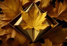 Типы драгоценного золота и их особенности: как выбрать идеальный металл