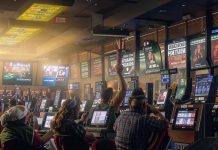 Деятельность букмекерской конторы