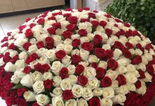 Букет из 1001 розы от AzaliaNow: подарок, который говорит больше, чем слова