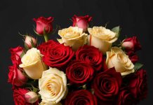 Большой букет роз — идеальный подарок для любимой женщины