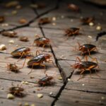 Особенности обработки от тараканов в жилых помещениях