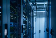 Новые сервера Lineage 2: особенности, форматы и интерес игроков