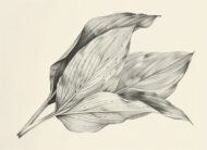 Лазерная гравировка: современные технологии точности и индивидуальности