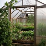Усиленная теплица: надежное решение для круглогодичного выращивания