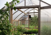 Усиленная теплица: надежное решение для круглогодичного выращивания