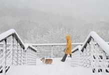 Снегопад в Москве и Подмосковье