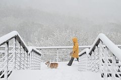 Снегопад в Москве и Подмосковье