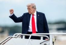 «У нас все козыри»: Трамп объяснил отмену поездки своих делегатов на переговоры по Ирану